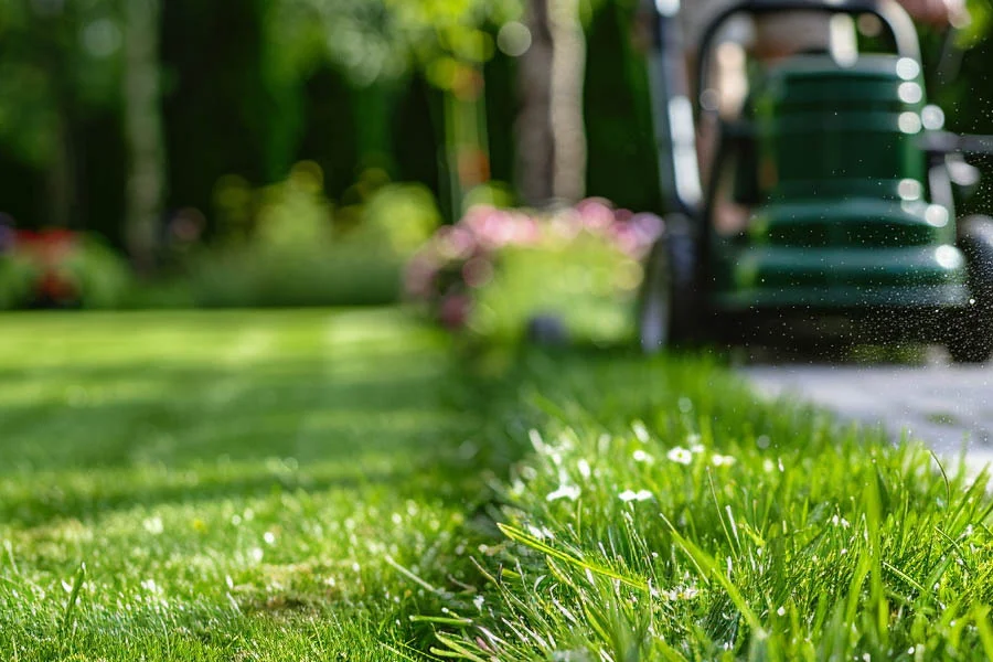 best rated electric mowers